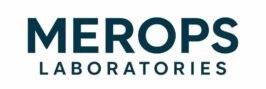 merologo letteronly